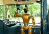 Từ “hướng dẫn viên” robot đến dùng bữa cùng… cá mập: Chuỗi trải nghiệm độc lạ đang khiến du khách đổ về Bắc đảo Phú Quốc