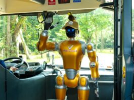 Từ “hướng dẫn viên” robot đến dùng bữa cùng… cá mập: Chuỗi trải nghiệm độc lạ đang khiến du khách đổ về Bắc đảo Phú Quốc
