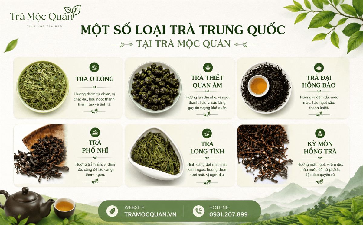 Phu nu hien dai tra moc quan 01