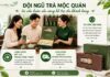 Trà Mộc Quán – Địa chỉ mua hộp trà Trung Quốc hảo hạng