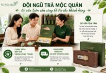Trà Mộc Quán – Địa chỉ mua hộp trà Trung Quốc hảo hạng