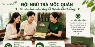 Trà Mộc Quán – Địa chỉ mua hộp trà Trung Quốc hảo hạng