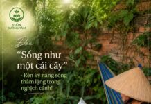 365 NGÀY ĐỌC SÁCH CÙNG PHUNUHIENDAI.VN: “Sống như một cái cây”