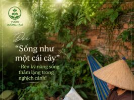 365 NGÀY ĐỌC SÁCH CÙNG PHUNUHIENDAI.VN: “Sống như một cái cây”