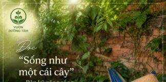 365 NGÀY ĐỌC SÁCH CÙNG PHUNUHIENDAI.VN: “Sống như một cái cây”