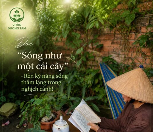 365 NGÀY ĐỌC SÁCH CÙNG PHUNUHIENDAI.VN: “Sống như một cái cây”