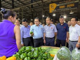 Tăng cường giám sát, siết chặt quản lý an toàn thực phẩm