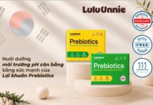 Băng vệ sinh chứa dưỡng chất lợi khuẩn LuluUnnie Prebiotics – Xu hướng mới hỗ trợ cân bằng hệ vi sinh vùng kín