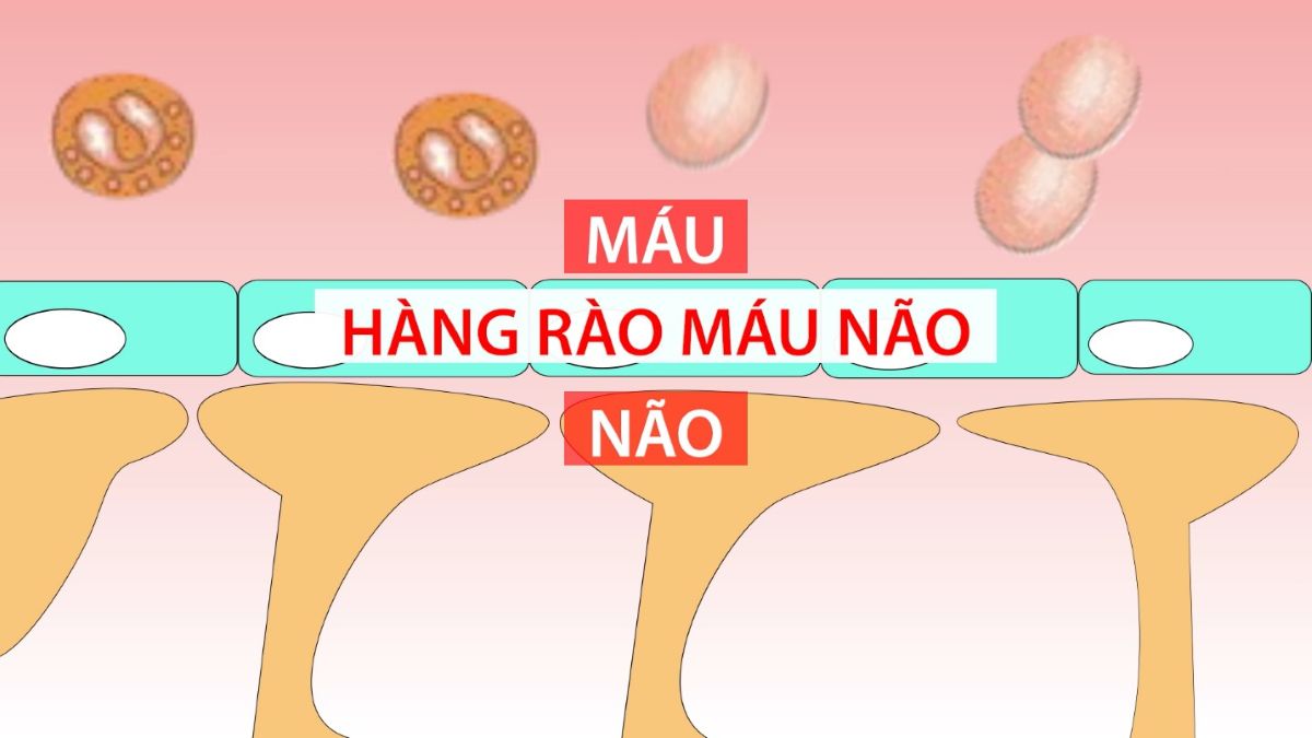 Phu nu hien dai bot ngot Aji 03