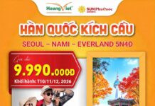 Hoàng Việt Travel tiếp tục đẩy mạnh kích cầu các tuyến tour du lịch Đông Bắc Á dịp cuối năm