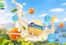 PHÁ VỠ GIỚI HẠN TUỔI TÁC, CHỦ ĐỘNG SỐNG LINH HOẠT CÙNG FAMI CANXI PLUS