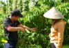 Nâng cấp chuỗi giá trị: Động lực tăng trưởng, kiến tạo lợi thế cạnh tranh cho Việt Nam