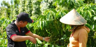 Nâng cấp chuỗi giá trị: Động lực tăng trưởng, kiến tạo lợi thế cạnh tranh cho Việt Nam