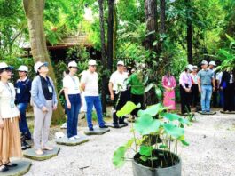Phát triển du lịch nông nghiệp, nông thôn gắn với xây dựng nông thôn mới