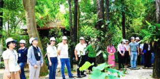 Phát triển du lịch nông nghiệp, nông thôn gắn với xây dựng nông thôn mới