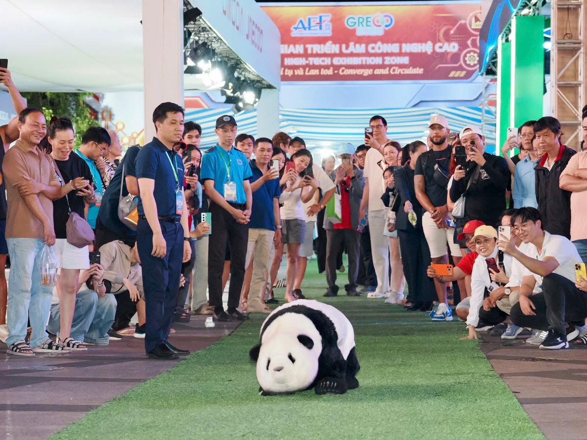 GRECO 2026 thúc đẩy chuyển đổi xanh và phát triển bền vững 3 trinh dien gau truc 17930204065641540771704